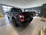 2023 F-150 Thumbnail 4