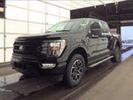 2023 F-150 Thumbnail 4