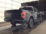2023 F-150 Thumbnail 8
