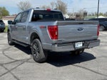 2023 F-150 Thumbnail 6