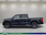 2023 F-150 Thumbnail 6