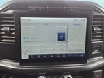2023 F-150 Thumbnail 10