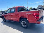 2023 F-150 Thumbnail 4