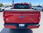 2023 F-150 Thumbnail 6