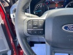 2023 F-150 Thumbnail 14