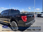 2023 F-150 Thumbnail 6