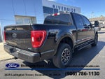 2023 F-150 Thumbnail 9