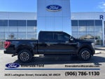 2023 F-150 Thumbnail 10