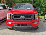 2023 F-150 Thumbnail 2