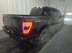 2023 F-150 Thumbnail 4