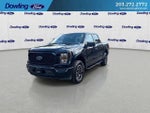 2023 F-150 Thumbnail 4