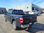 2023 F-150 Thumbnail 5