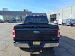 2023 F-150 Thumbnail 6