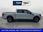 2023 F-150 Thumbnail 3
