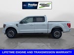 2023 F-150 Thumbnail 7