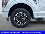 2023 F-150 Thumbnail 11