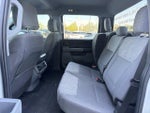 2023 F-150 Thumbnail 18