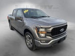 2023 F-150 Thumbnail 4