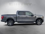 2023 F-150 Thumbnail 11