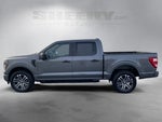 2023 F-150 Thumbnail 15