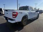 2023 F-150 Thumbnail 3