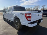 2023 F-150 Thumbnail 4