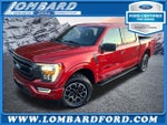 2023 F-150 Thumbnail 1