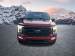 2023 F-150 Thumbnail 3