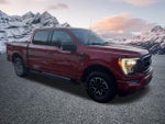 2023 F-150 Thumbnail 4