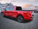 2023 F-150 Thumbnail 9
