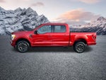2023 F-150 Thumbnail 10