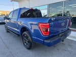 2023 F-150 Thumbnail 2