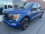 2023 F-150 Thumbnail 5