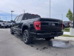2023 F-150 Thumbnail 3