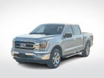 2023 F-150 Thumbnail 4