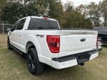 2023 F-150 Thumbnail 17