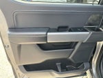 2023 F-150 Thumbnail 10