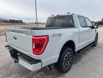 2023 F-150 Thumbnail 5