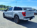 2023 F-150 Thumbnail 4