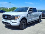 2023 F-150 Thumbnail 6