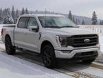 2023 F-150 Thumbnail 8