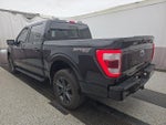 2023 F-150 Thumbnail 4