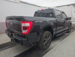 2023 F-150 Thumbnail 6
