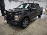 2023 F-150 Thumbnail 4