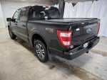2023 F-150 Thumbnail 5