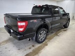 2023 F-150 Thumbnail 7