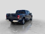 2015 F-150 Thumbnail 6