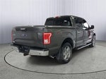 2015 F-150 Thumbnail 2