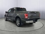 2015 F-150 Thumbnail 3