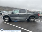2016 F-150 Thumbnail 4